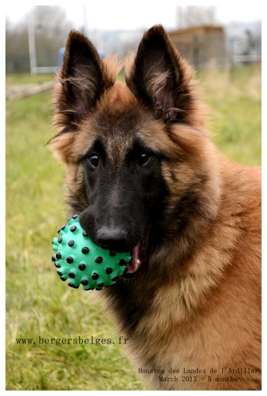 Houston — March 2013, 5 months