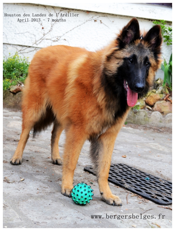 Houston — April 2013, 7 months