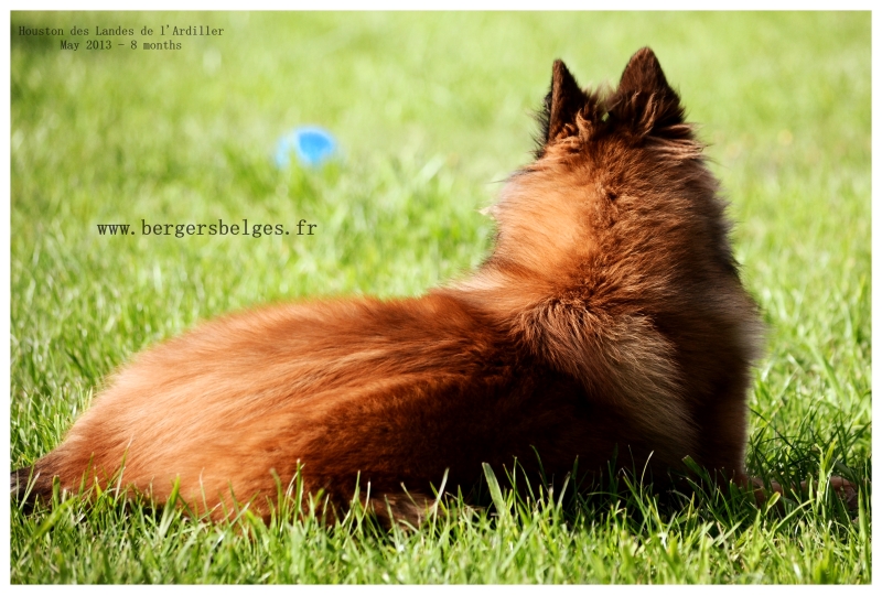 Houston — May 2013, 8 months