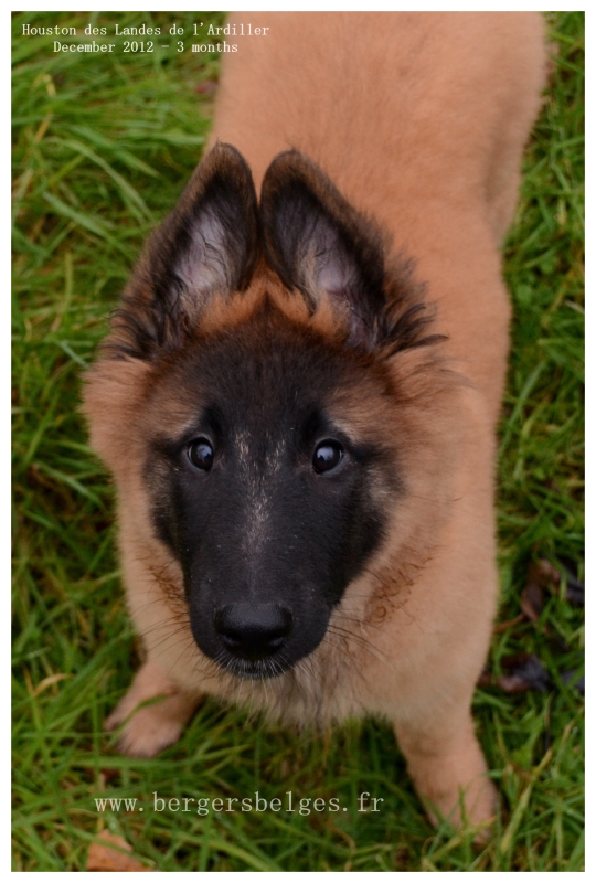 Houston — December 2012, 3 months