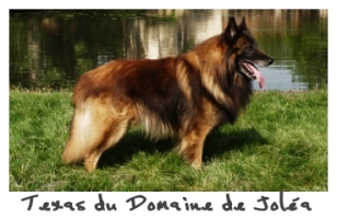 Texas du Domaine de Jolea